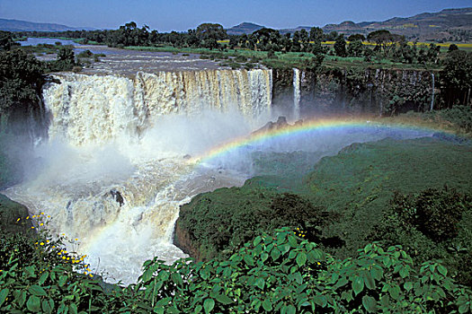 非洲,埃塞俄比亚,蓝色,尼罗河,瀑布,靠近,湖