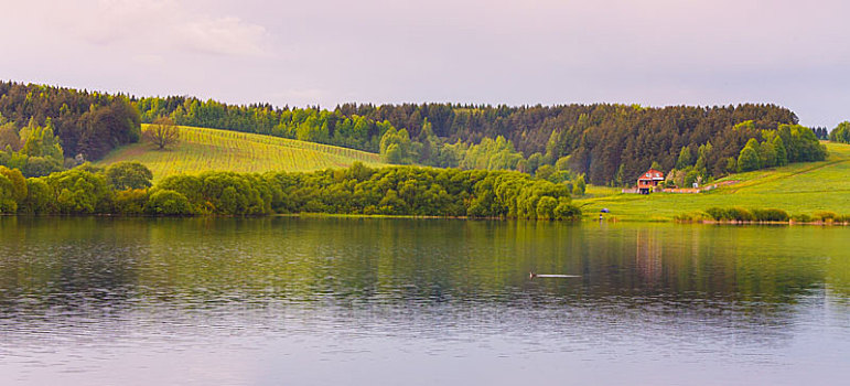 湖,绿色,树林,房子,背景