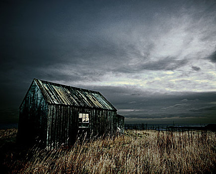 孤单,木质,小屋,站立,郁闷,天空,看,室外,海洋,草,吹,前景,诺森伯兰郡,英格兰