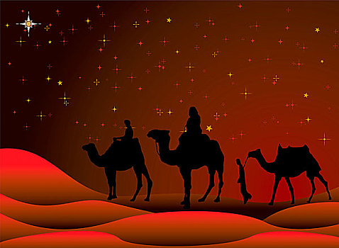 传统,圣诞节,场景,骆驼,星空