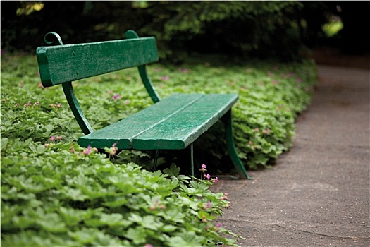 绿色,长椅,花园