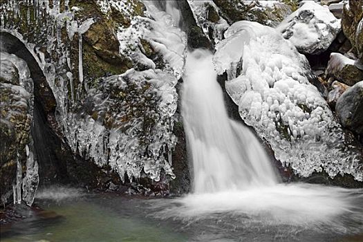 冰,遮盖,溪流,瀑布,冰柱