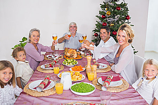 家庭,抬起,玻璃,圣诞节,餐饭
