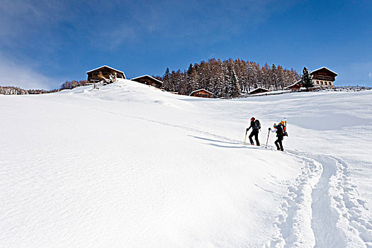 雪鞋,远足者,攀登,顶峰,萨恩泰尔,南蒂罗尔,意大利,欧洲