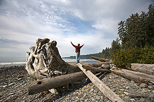 一个,男人,手臂,站立,大,流动,原木,温哥华岛,不列颠哥伦比亚省,加拿大