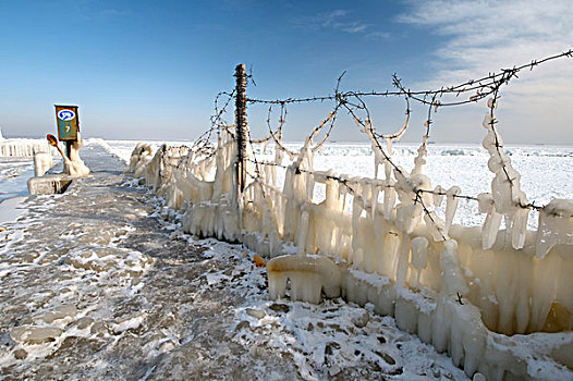 冰,刺铁丝网,冰冻,黑海,稀有,现象,时间,敖德萨,乌克兰,东欧