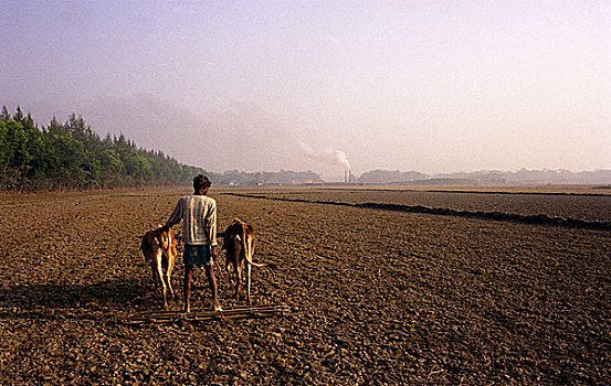 安静,我们,乡野,耕作,地点,2004年,孟加拉