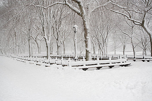 公园,积雪