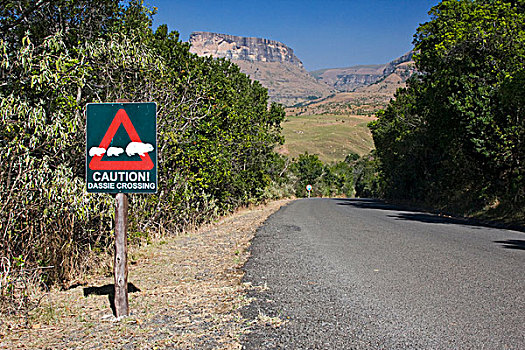 石头,蹄兔,警告标识,国家公园,南非