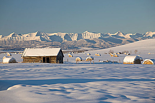 积雪,木屋,干草包,土地,山峦,艾伯塔省,加拿大