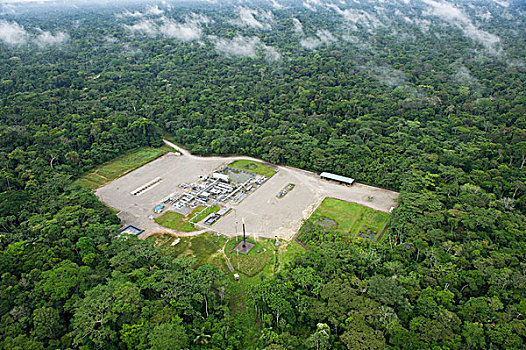 油,安装,密集,雨林,国家公园,亚马逊河,厄瓜多尔