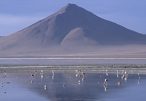 泻湖,科罗拉多,玻利维亚