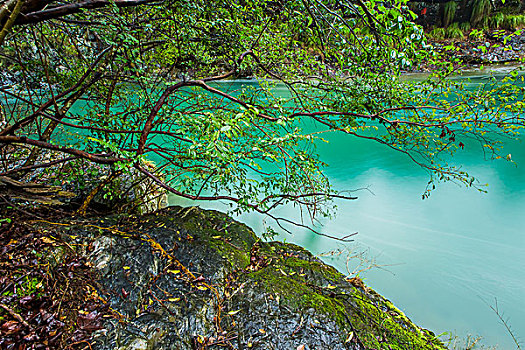 安徽皖南春季风光青山绿树碧水油菜花油菜花