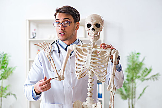 男医生,骨骼,隔绝,白色背景