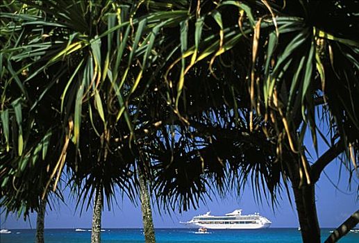 夏威夷,夏威夷大岛,奢华,游船,旅行,过去,棕榈树,海滩