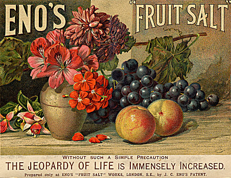 水果,盐,19世纪,艺术家,未知