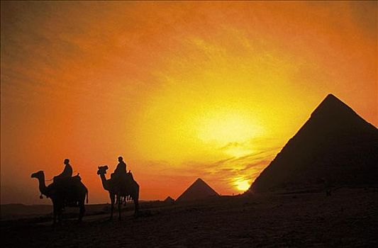 骆驼,男人,骑乘,日落,吉萨金字塔,开罗,埃及,北非,世界遗产,哺乳动物,动物