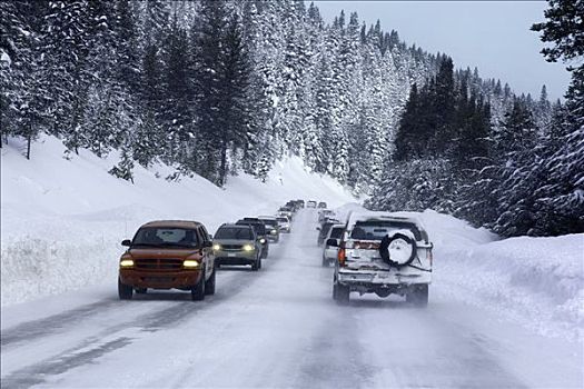 交通,雪,山路,太浩湖,加利福尼亚,美国