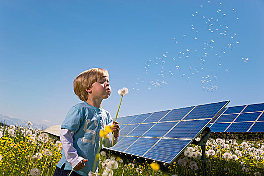 男孩,土地,太阳能电池板