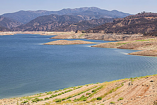 湖,西部,枝条,加利福尼亚,水道,百分比,干旱,紧急,洛杉矶,美国