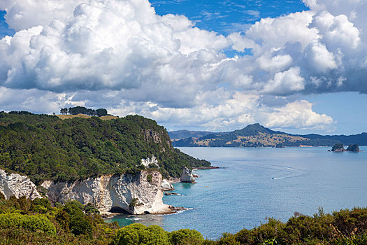 风景,大教堂,小湾