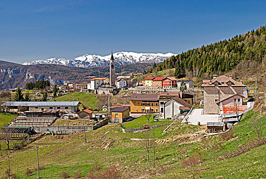 阿齐亚戈干酪,意大利,阿尔卑斯山
