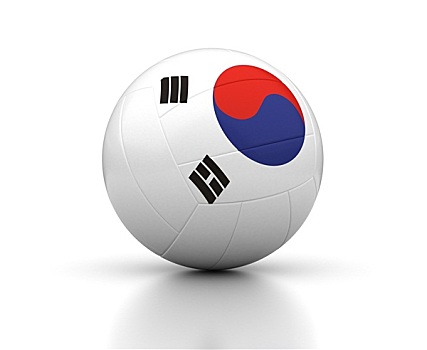 南,韩国,排球,团队