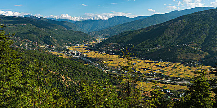 风景,不丹,山谷