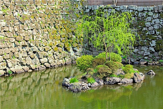 日式庭园,湖