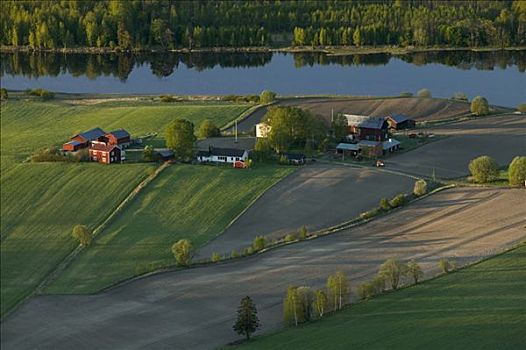 农业,风景,航拍,瑞典
