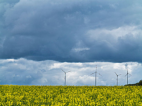 风轮机,油菜地,前景,雷雨天气,山,北莱茵威斯特伐利亚,德国