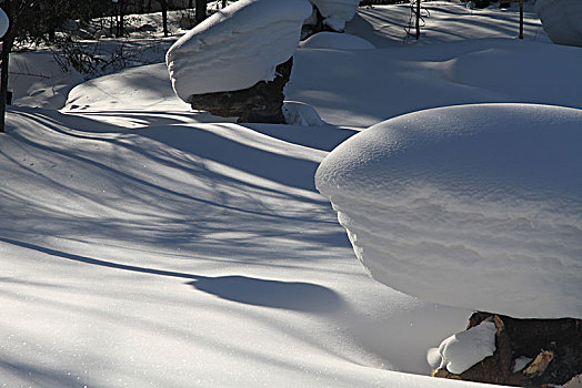 哈尔滨,雪乡,雪景,北方