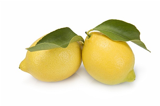 柠檬,叶子