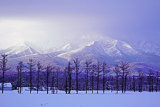 山,北海道,日本