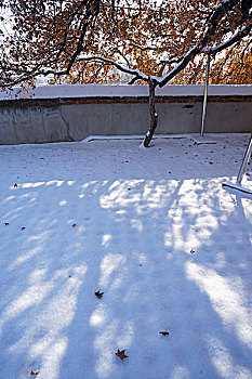 雪景,庙宇,雪,除雪