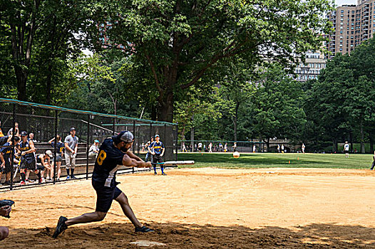 棒球,公园,中央公园,纽约,美国
