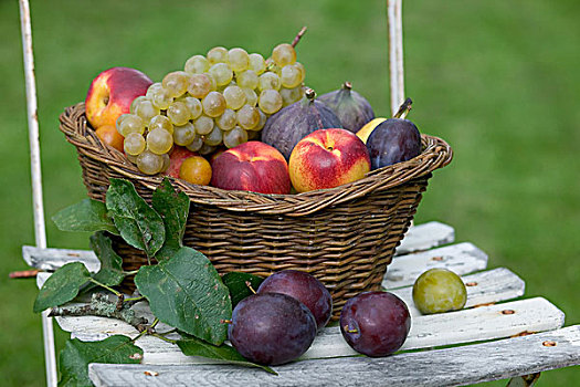 季节,静物,种类,秋天,水果,柳条篮,白色,花园椅