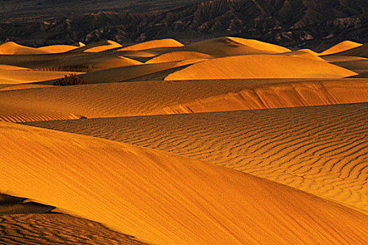 日出,马斯奎特沙丘,死亡谷国家公园,加利福尼亚,美国