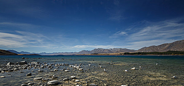 新西兰蒂卡波湖