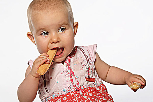 女婴,吃,饼干