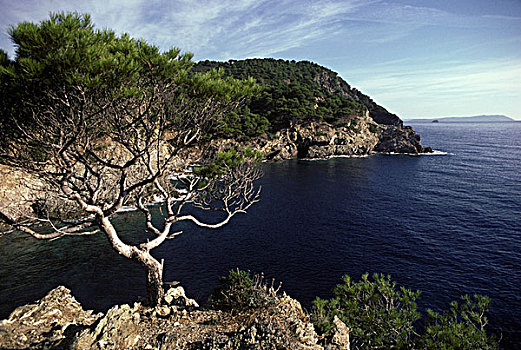 狭海湾,岛屿,波克罗勒岛