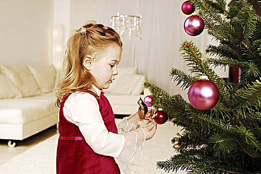 圣诞节,女孩,圣诞树,序列,人,孩子,幼儿,金发,云杉,枝条,圣诞树装饰,鸟,装饰,传统,降临节,准备