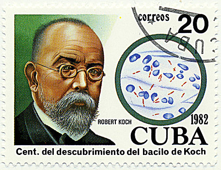 历史,邮资,邮票,古巴,加勒比