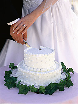 特写,新郎,新娘,切,婚礼蛋糕
