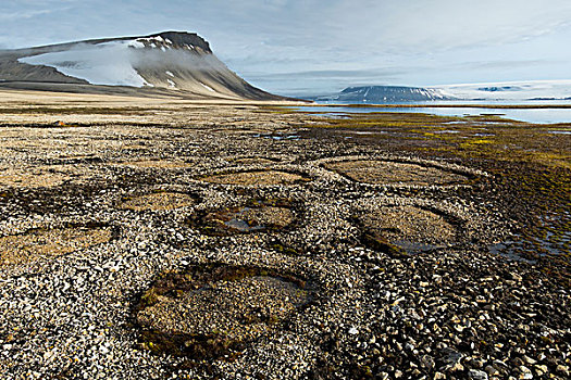 挪威,斯瓦尔巴特群岛,北极,荒芜,天然石,圆,霜