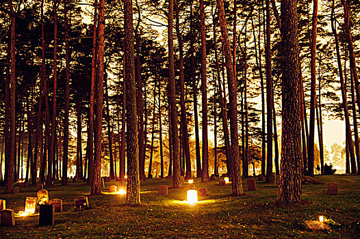 蜡烛,树林,墓地