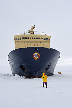 南极,威德尔海,破冰船,停放,迅速,冰,船首,锤子,游客