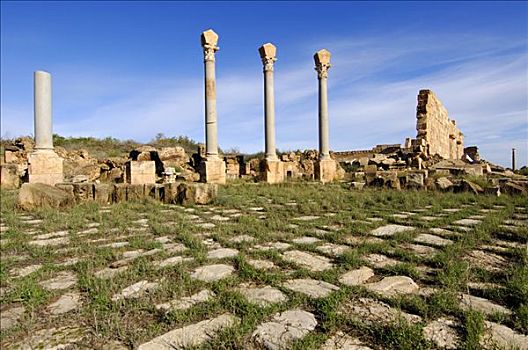 柱子,科林斯式,首府,遗址,罗马,城市,莱普蒂斯马格纳,利比亚