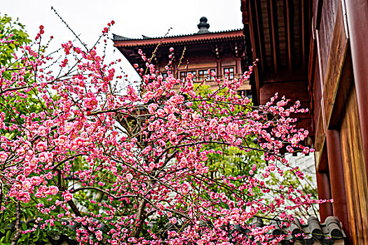 南京牛首山佛顶寺