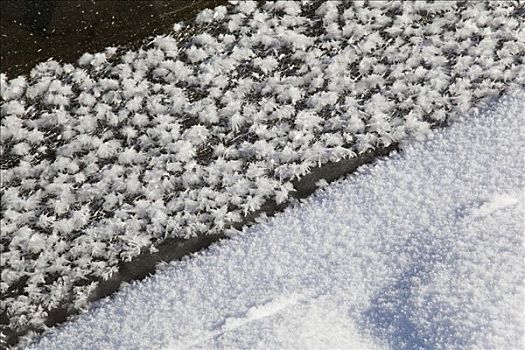 图案,雪,冰,霜